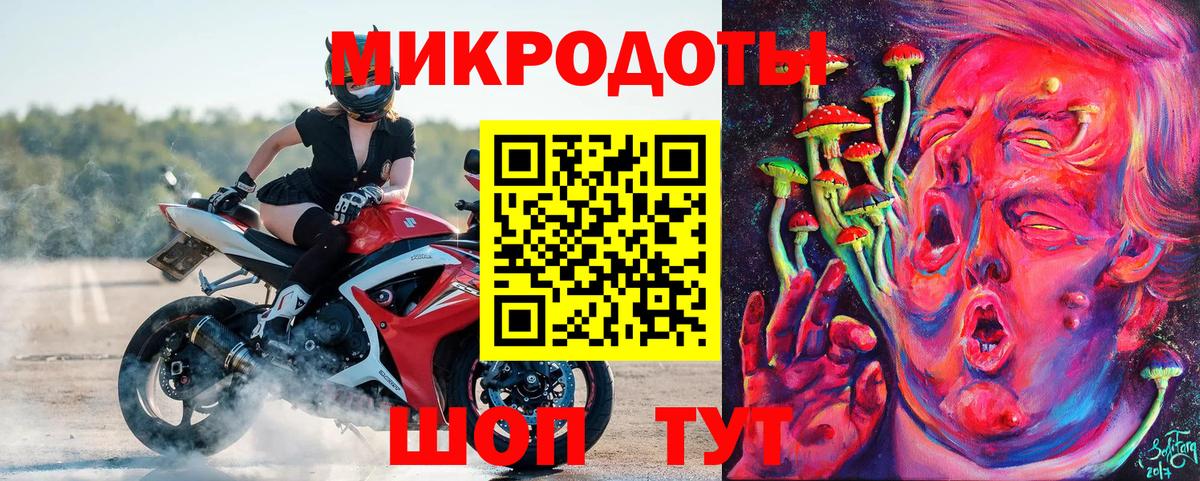 Галлюциногенные грибы Psilocybine cubensis Кудрово