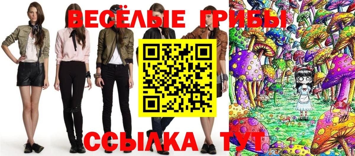 Кудрово  Галлюциногенные грибы мухоморы  Псилоцибиновые грибы прущие грибы  Вход с VPN 